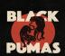 Black-Pumas-cover.jpg